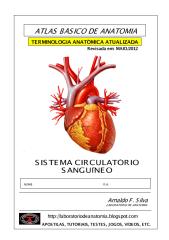 Apostila Sistema Circulatório2012.PDF