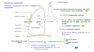 Mecánica respiratoria 2016-1(1).pptx